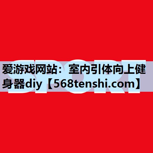 爱游戏网站：室内引体向上健身器diy