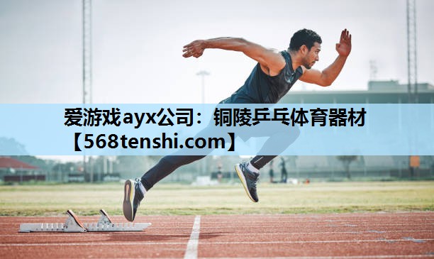铜陵乒乓体育器材 铜陵乒乓体育器材