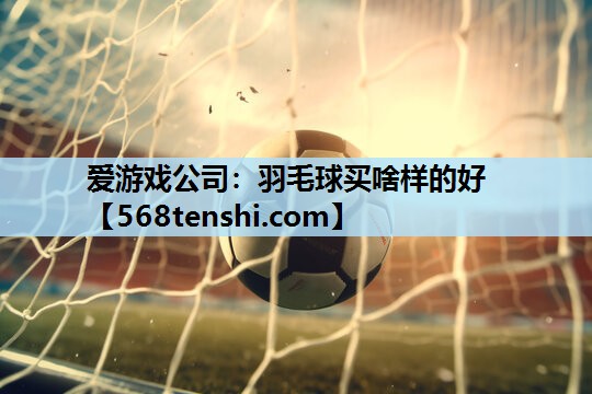 羽毛球买啥样的好 羽毛球买啥样的好