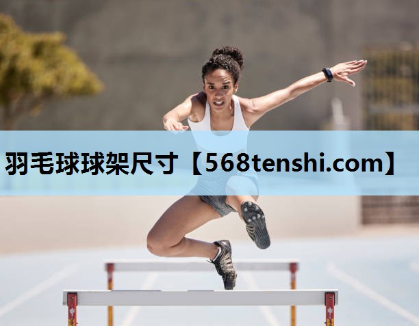 羽毛球球架尺寸 羽毛球球架尺寸