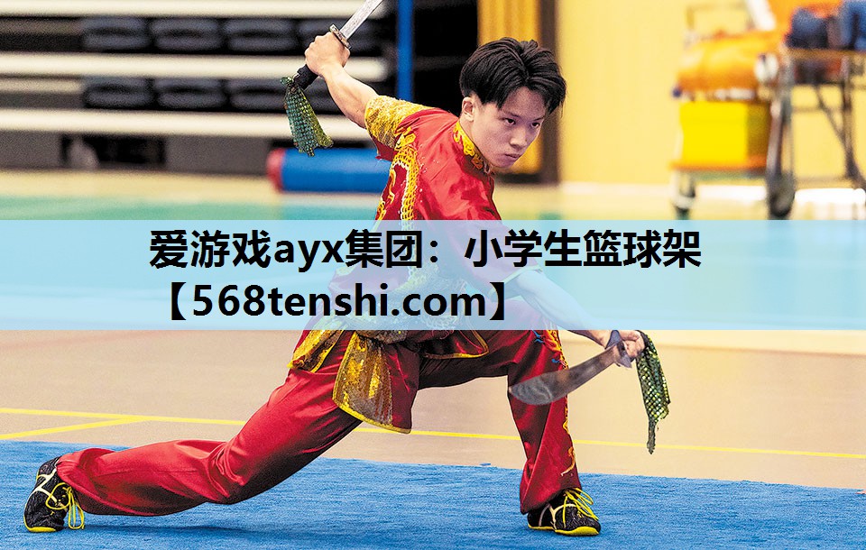 小学生篮球架 小学生篮球架